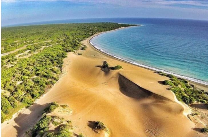 Imagen de la galería