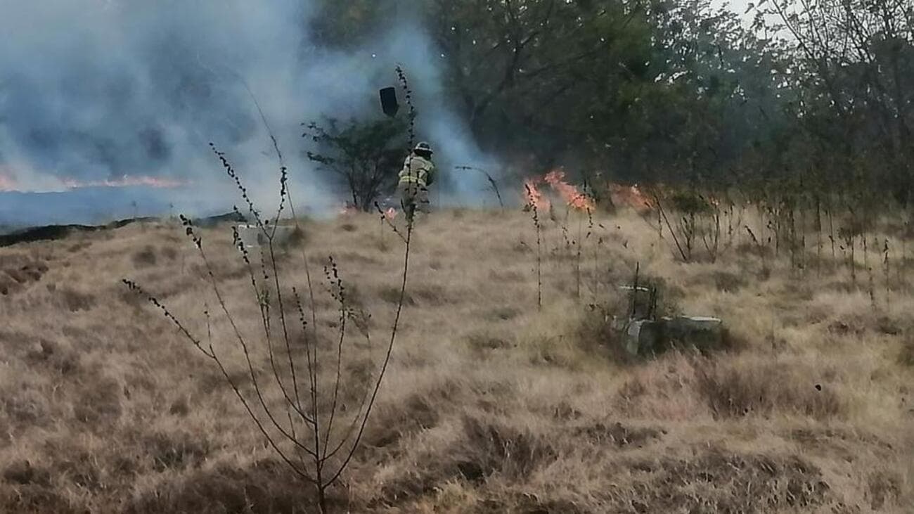 Tras tres días: bomberos forestales controlan incendio en Valle Nuevo