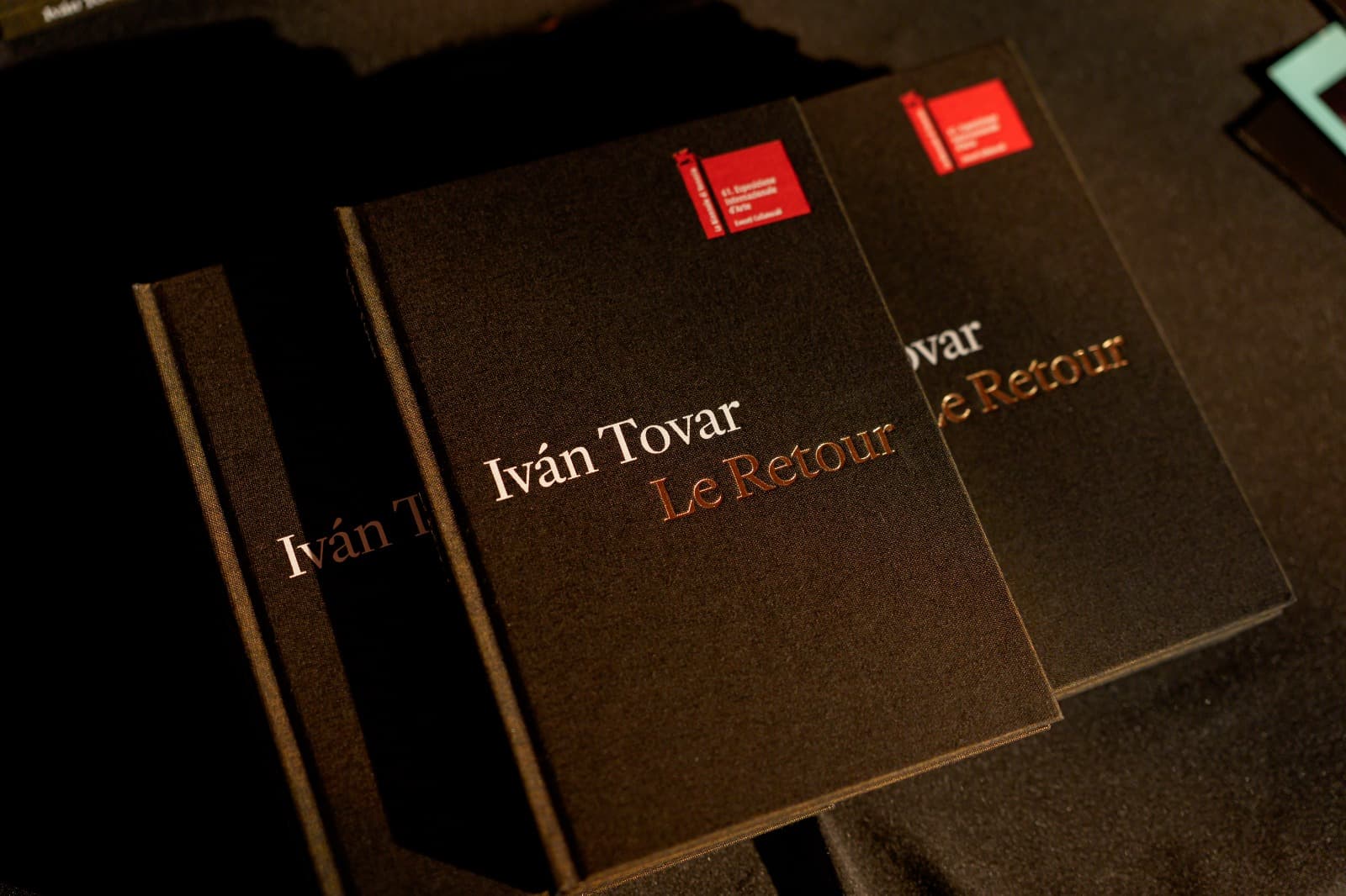 Presentan en Nueva York el catálogo «Iván Tovar: Le Retour»